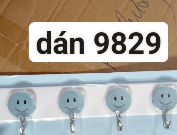 dán 9829