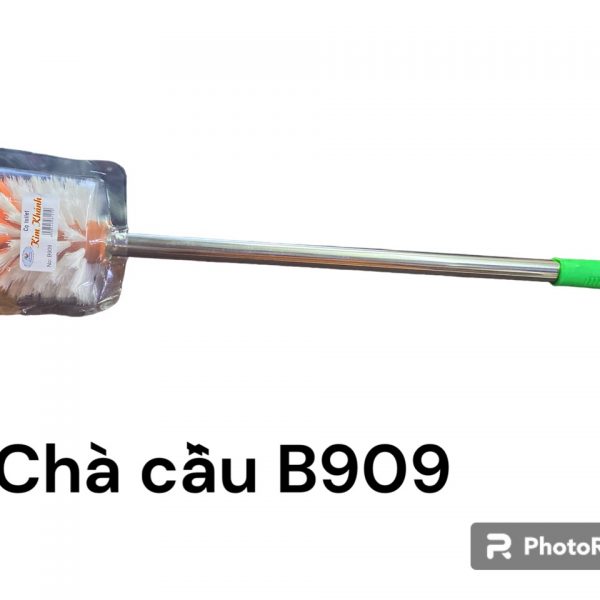 chà cầu b909