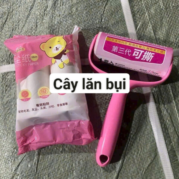 cây lăn bụi